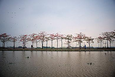 《卧龙：苍天陨落》采访新情报 有中国员工参与开发